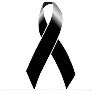 Meet your Posher, Elsa